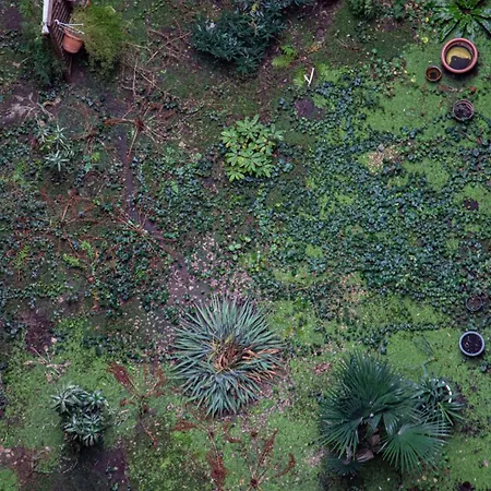 Apartament Flat Margaret *